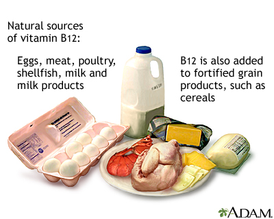 Vitamin B12 Information Mount Sinai New York