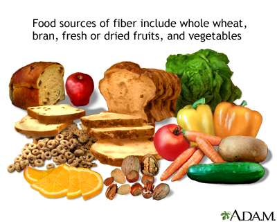 Sources of fiber - Illustration Thumbnail              