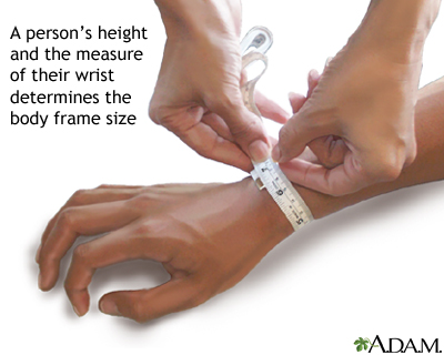 average size of a female wrist