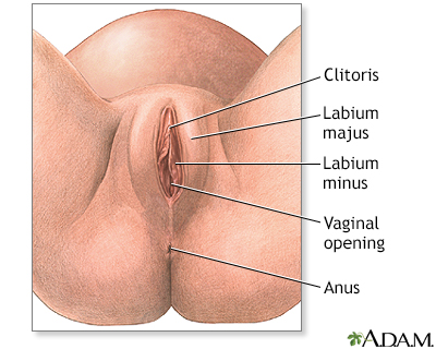 Episiotomy Information Mount Sinai New York