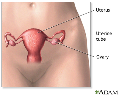 Hysterectomy: Preparations and Recovery - Babywise Mom