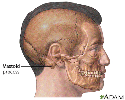 mastoid process palpation