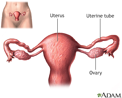 Tubal ligation - uterine anatomy - Presentation Thumbnail
                    