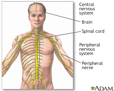 Tay-Sachs Disease: Signs and Symptoms