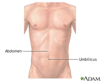 Normal external abdomen - Illustration Thumbnail
                      