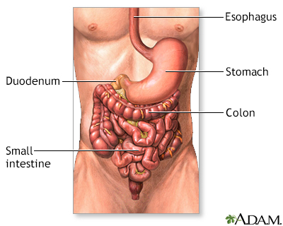 ova and parasites