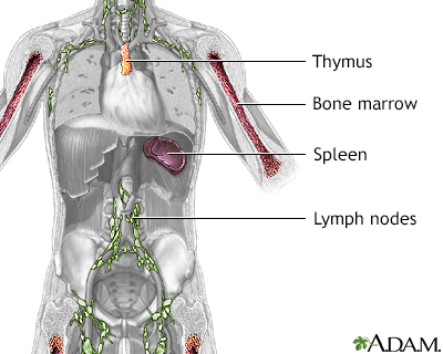 Can you have swollen lymph nodes in the groin area from shingles