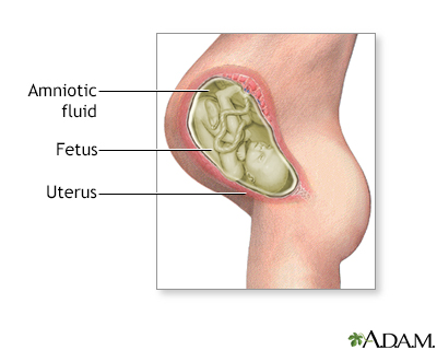 Amniotic fluid
