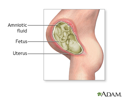 Amniotic fluid - Illustration Thumbnail              