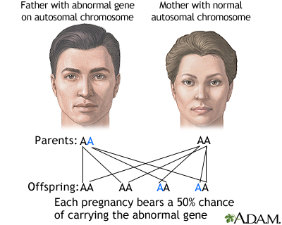 Autosomal dominant genes - Illustration Thumbnail
                      