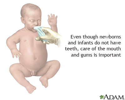 Infant dental care - Illustration Thumbnail
                      