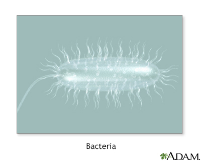 Bacteria - Illustration Thumbnail
                      