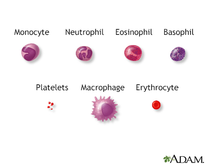 Blood cells - Illustration Thumbnail
                      