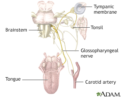 Glossopharyngeal neuralgia - Illustration Thumbnail							