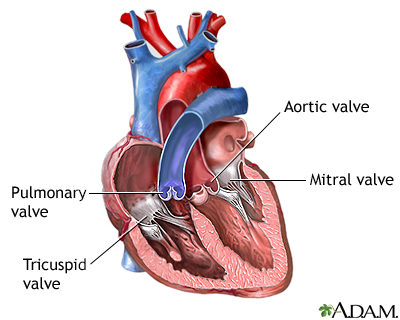 https://ssl.adam.com/graphics/images/en/9380.jpg