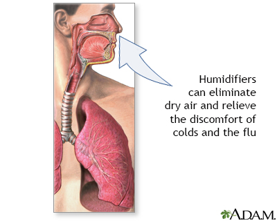 humidified air