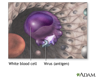 Immunizations - Illustration Thumbnail              