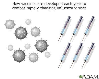 Influenza vaccines - Illustration Thumbnail
              