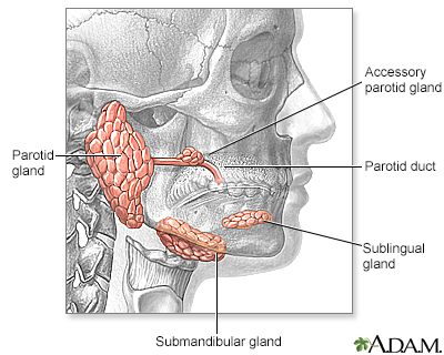 Salivary gland infections Information