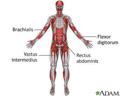 Muscle spasm deals in arm