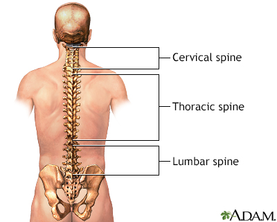 Lumbosacral spine x-ray Information