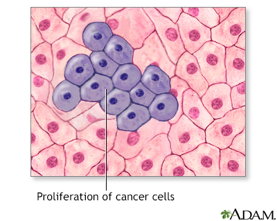 Cell proliferation - Illustration Thumbnail
                      