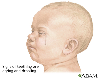 Teething symptoms - Illustration Thumbnail
              