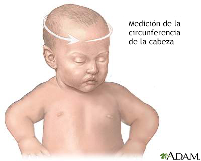 Visitas médicas de un niño sano - Miniatura de ilustración
              