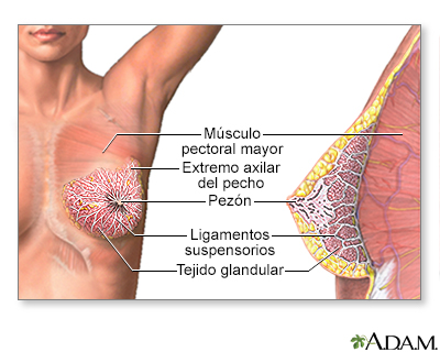 Spanish HIE Multimedia - Secreción del pezón