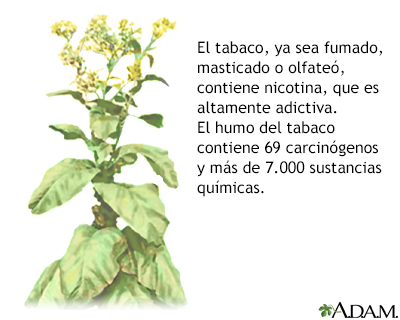 Tabaco y sustancias químicas - Miniatura de ilustración
              