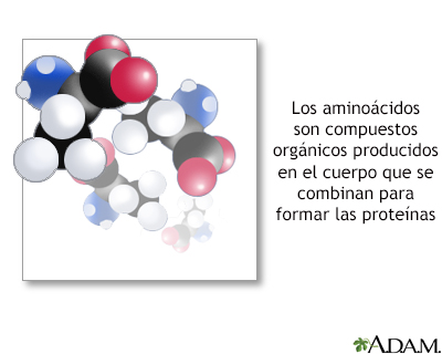Aminoácidos - Miniatura de ilustración
              