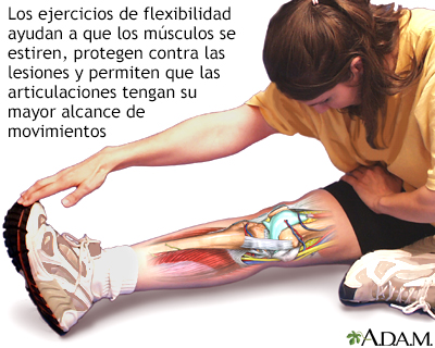 Ejercicios de flexibilidad - Miniatura de ilustración
              