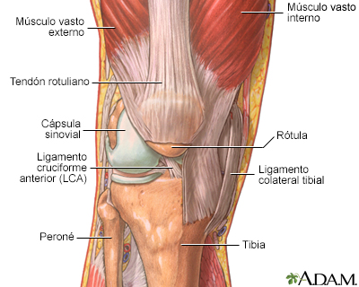 Spanish HIE Multimedia - Artroscopia de rodilla