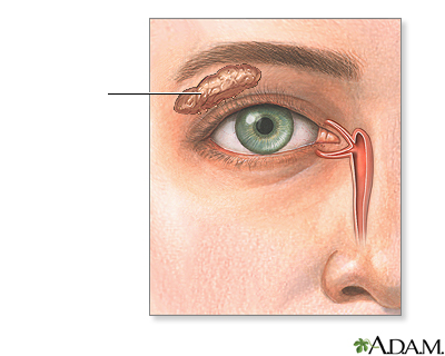 Glándula lacrimal