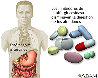 Inhibidores de la alfa-glucosidasa - Miniatura de ilustración
              