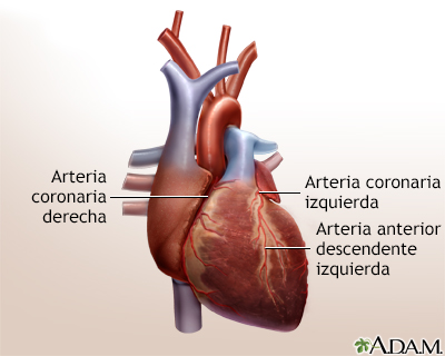 Cirugía de derivación cardíaca - serie - Anatomía normal - Miniatura de presentación
              