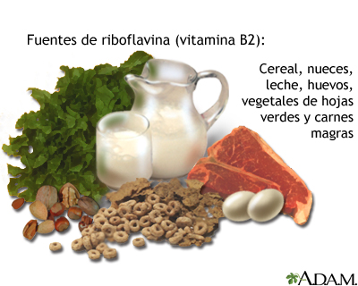 Fuentes de vitamina B2