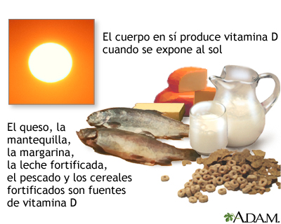 Fuentes de vitamina D - Miniatura de ilustración
              