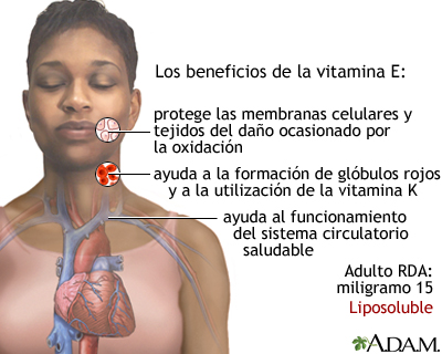 Beneficios de la vitamina E