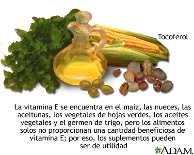 Fuentes de vitamina E - Miniatura de ilustración
              