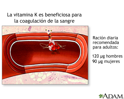 Beneficios de la vitamina K