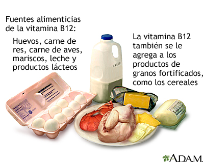 Fuentes de vitamina B12 - Miniatura de ilustración
              