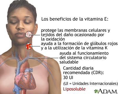 Beneficios de la vitamina E - Miniatura de ilustración
              