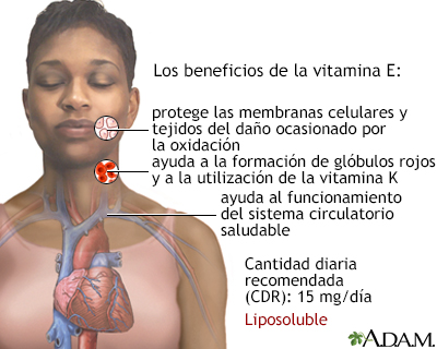 Beneficios de la vitamina E - Miniatura de ilustración              
