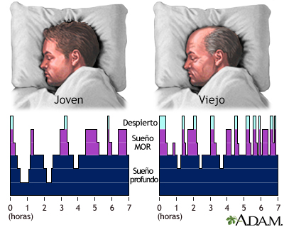 Patrones de sueño en el joven y en el viejo