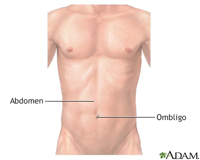 Abdomen externo normal - Miniatura de ilustración
              