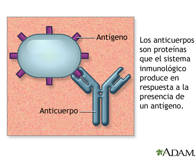 Anticuerpos - Miniatura de ilustración              