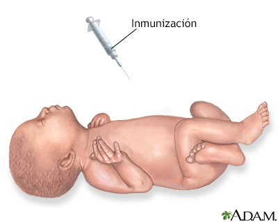 Inmunizaciones en bebés - Miniatura de ilustración
              