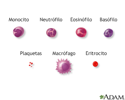 Células sanguíneas