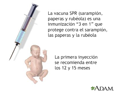 Inmunizaciones - Miniatura de ilustración
              